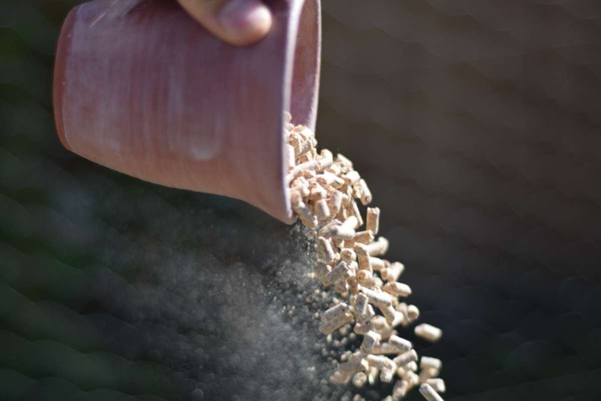 The Crop Starter Fertilizer You Need for a Record-Breaking Harvest 