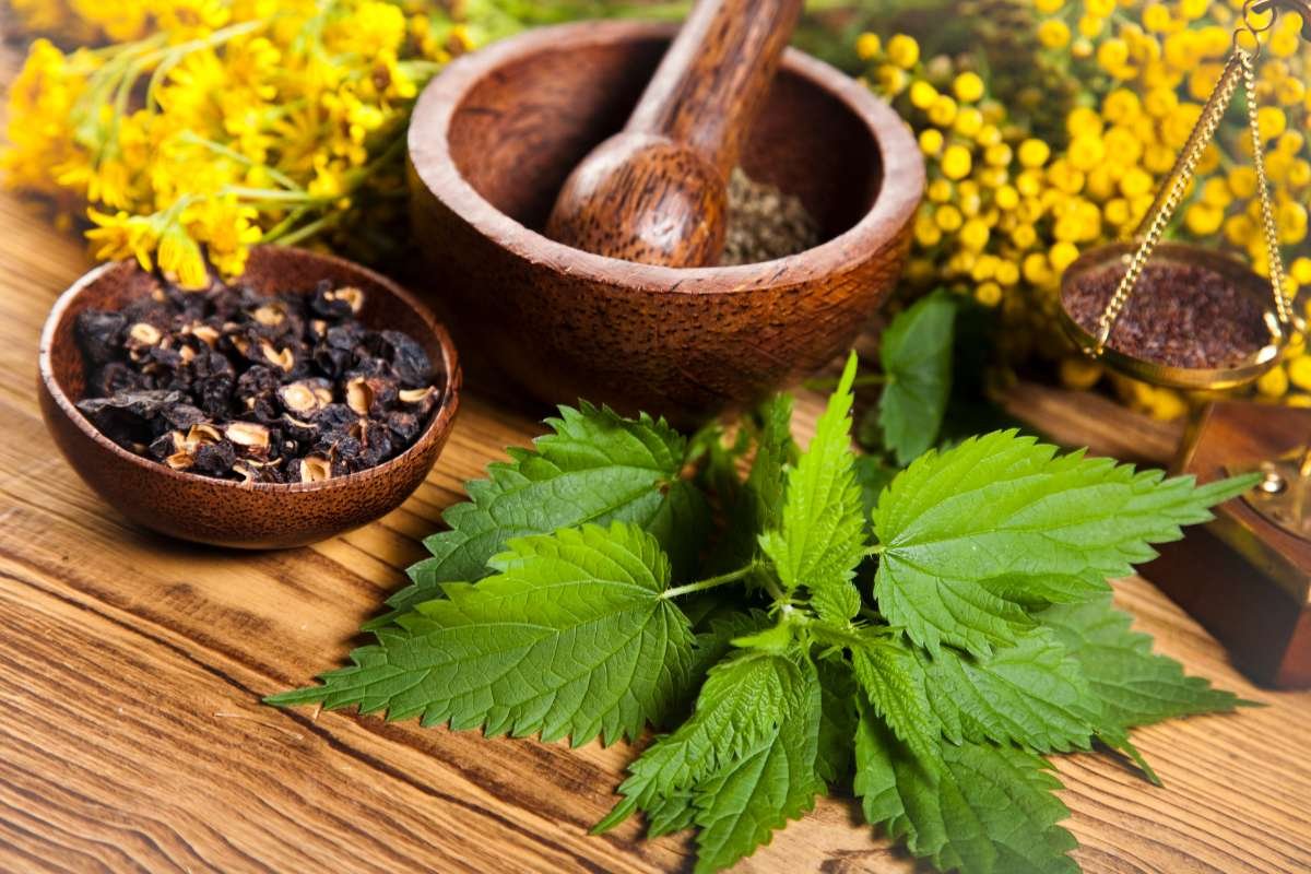 How to Cure Hives Fast? 7 Home Remedies | The Enterprise World