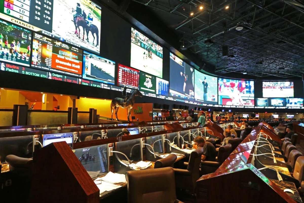 Top 6 Skills of Sports Betting to Stay Disciplined and Win | The Enterprise World 