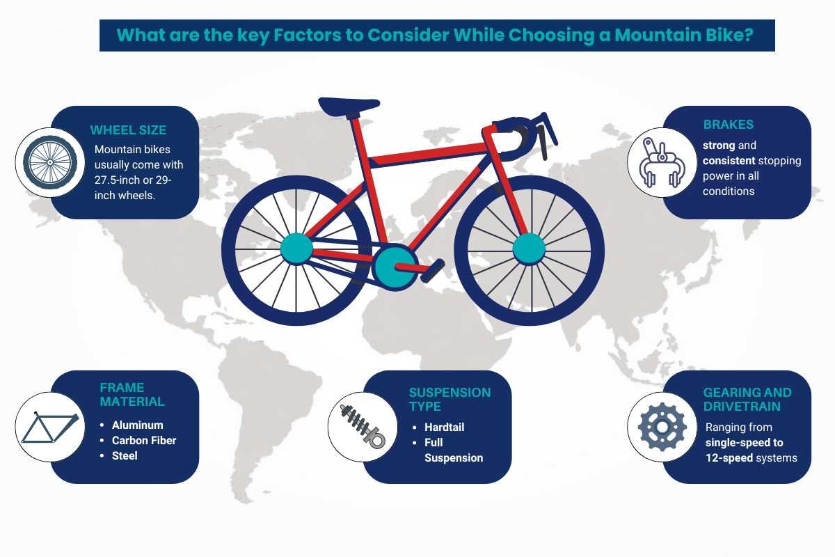 How to Choose a Mountain Bike? Types, Key Factor and Examples | The Enterprise World 