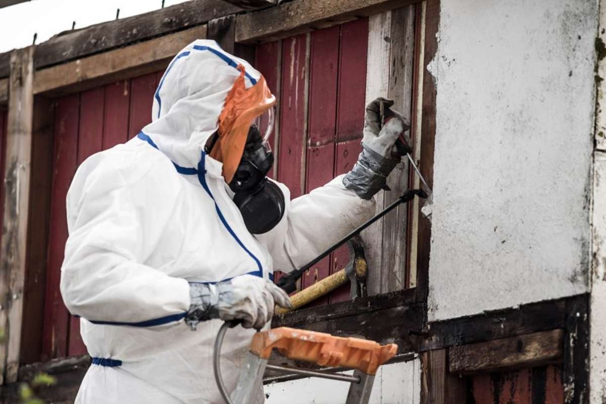 7 Steps of Asbestos Removal Process From Start to Finish | The Enterprise World