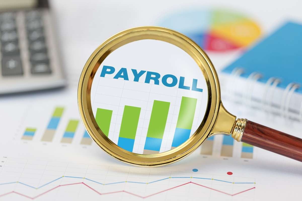 Avoiding Payroll Errors: Why Payroll Management Solutions Matter? | The Enterprise World