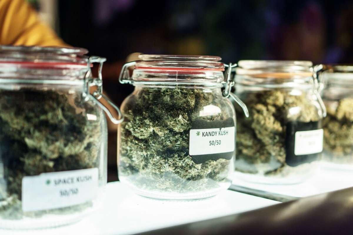 Michigan Cannabis Industry Faces Declining Prices, Regulatory Challenges, and Market Threats
