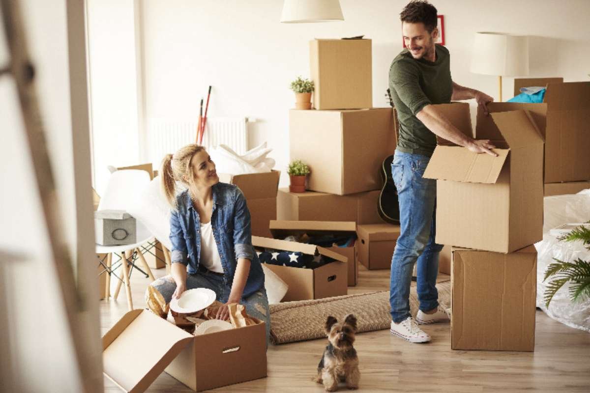 4 Moving Day Tips for a Smooth and Stress-Free Relocation | The Enterprise World
