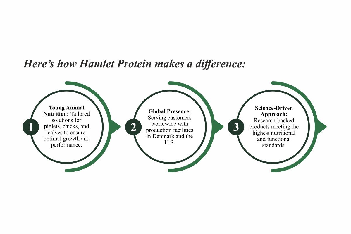 Hamlet Protein-Advancing Animal Nutrition | Erik Visser | The Enterprise World