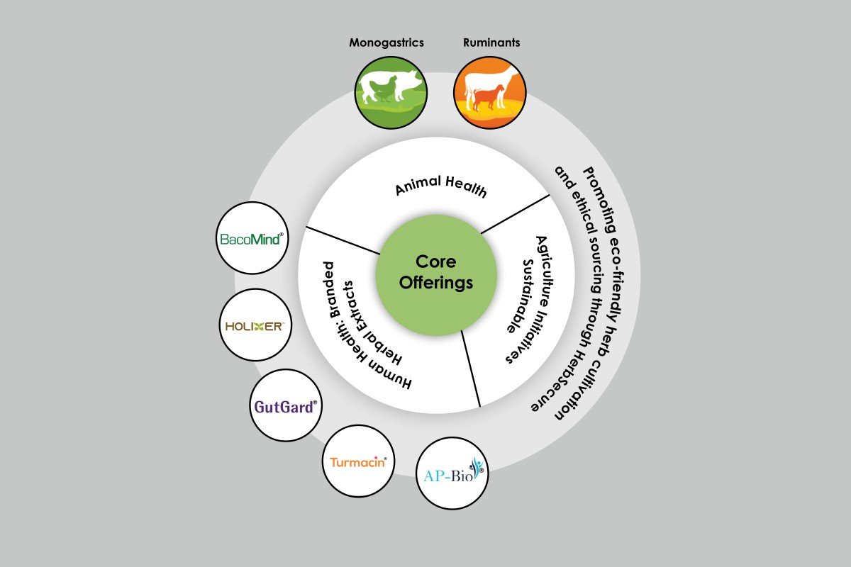 Dr. Narender Reddy: Leading Health Revolution | Natural Remedies | The Enterprise World