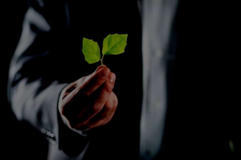Sustainable Branding: Making Your Business a Force for Good | The ...