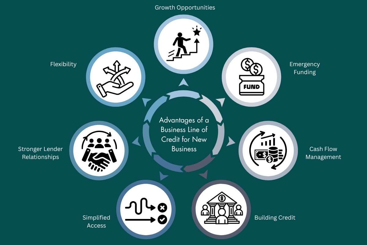 Business Line of Credit for New Business-Advantages & Disadvantages | The Enterprise World 