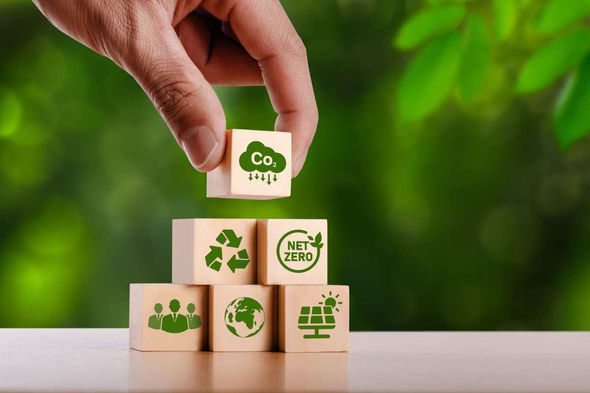 Sustainable Branding: Making Your Business a Force for Good | The Enterprise World