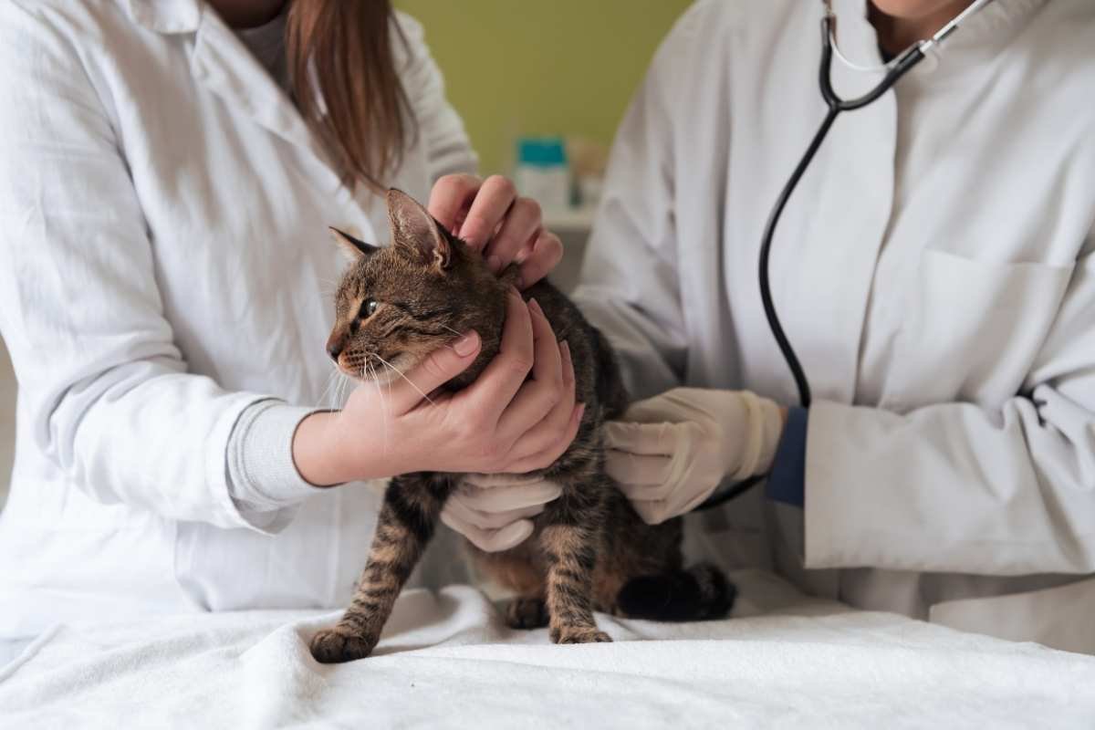 Global Agriculture and Animal Health Events 2025-26 | The Enterprise World 
