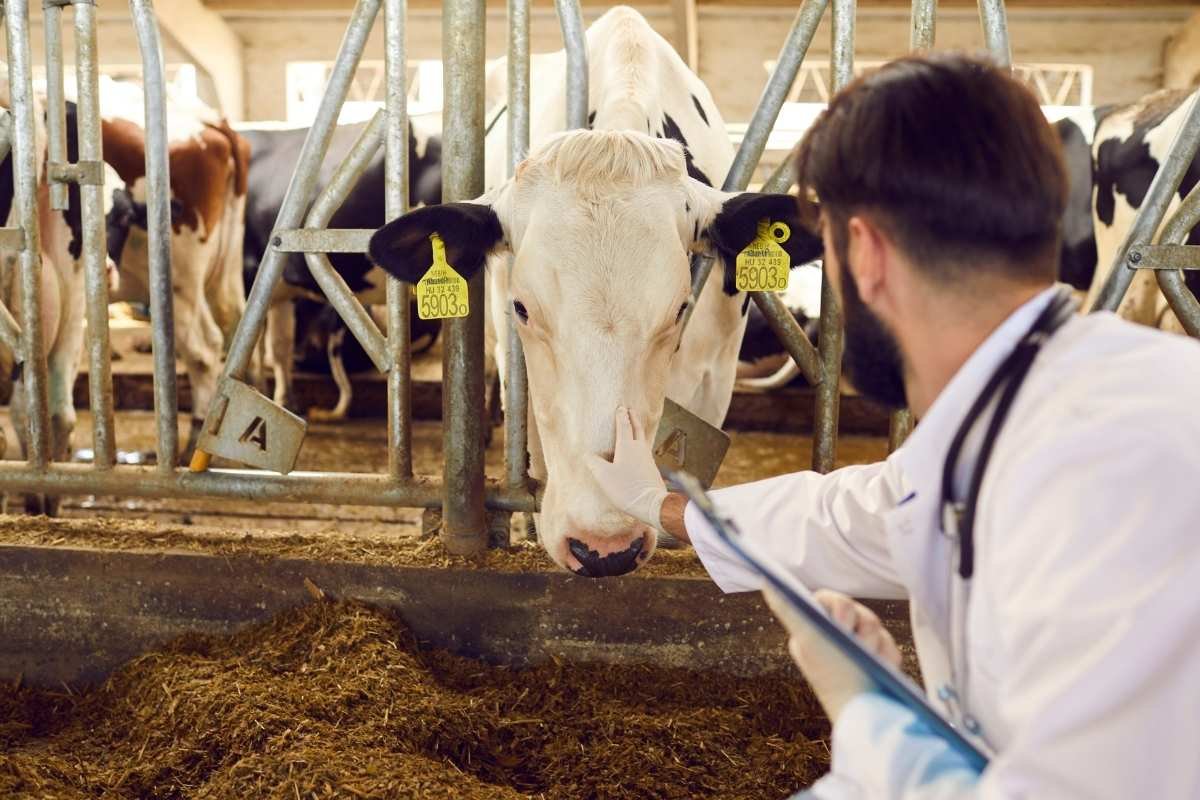 Global Agriculture and Animal Health Events 2025-26 | The Enterprise World 