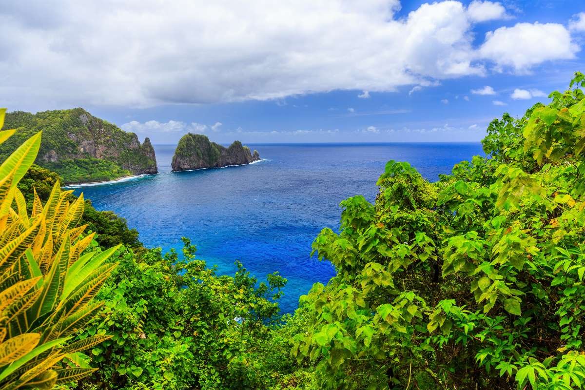 How Many States Are in the USA? Is It Really 50? | The Enterprise World