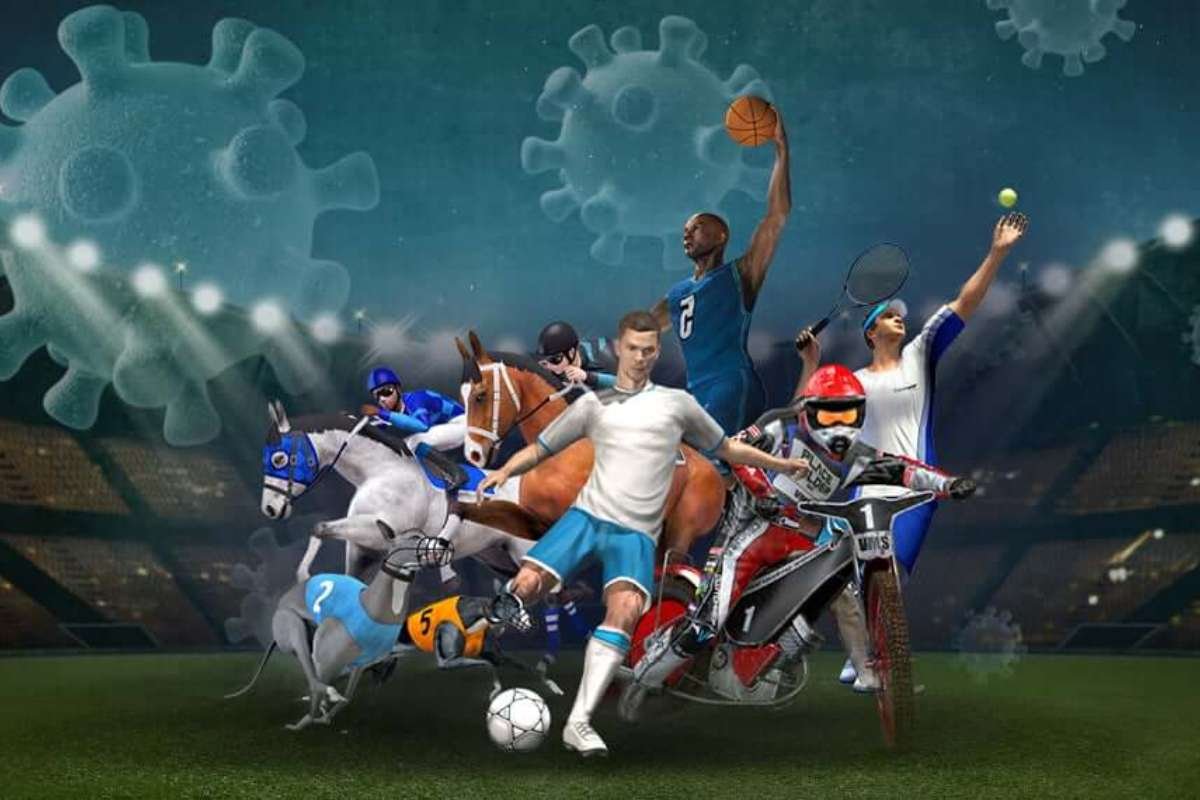 VivatBet Sports Betting: Top Choice for Irish Punters in 2025 | The Enterprise World