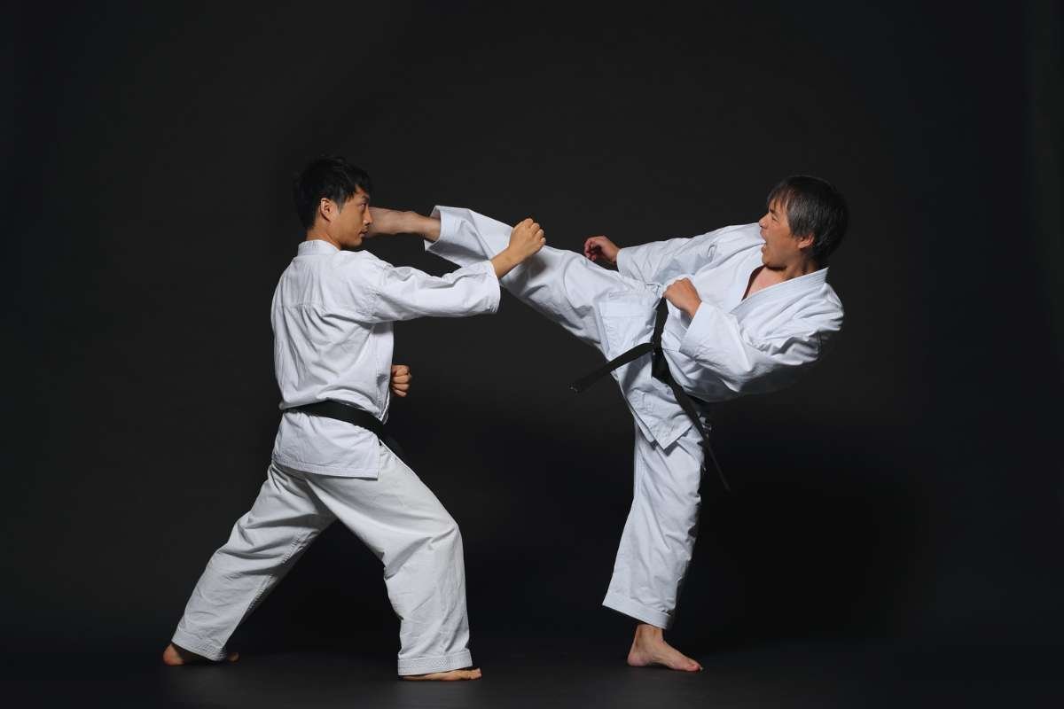 Want to Learn Martial Arts? These Are the Most Popular Martial Arts Backed by Global Stats 