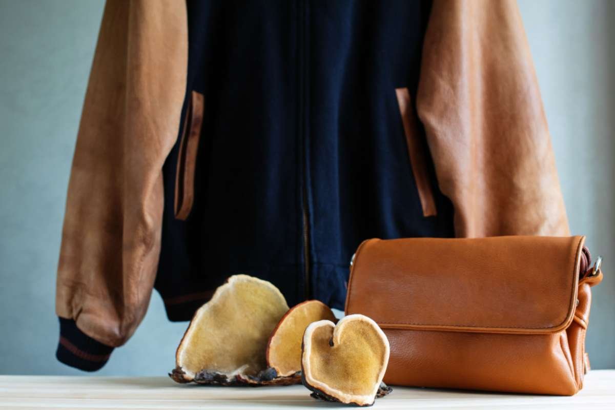 25 Sustainable Fashion Trends That Make You Look Good | The Enterprise World 