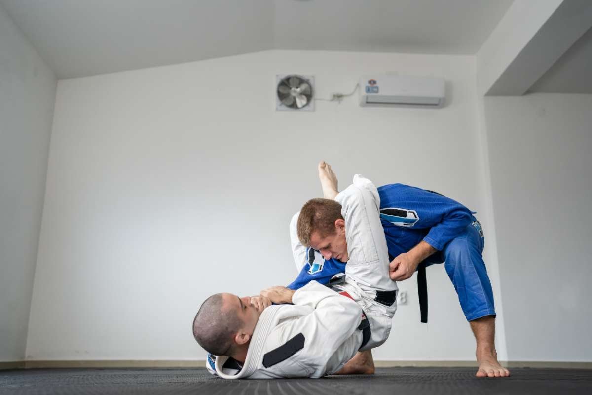 Top 10 Most Popular Martial Arts in the World | The Enterprise World 