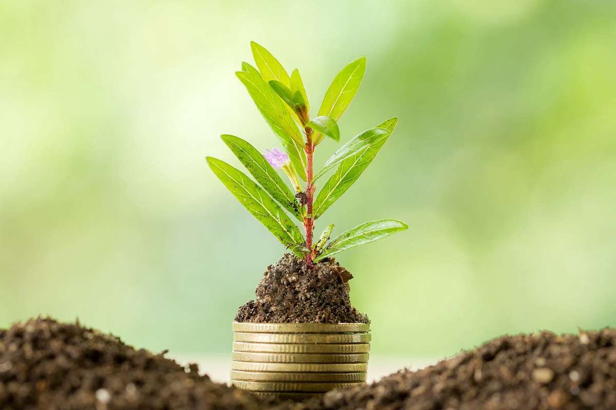 4 Benefits of Dedicated Fuel Supply Services for Business | The Enterprise World