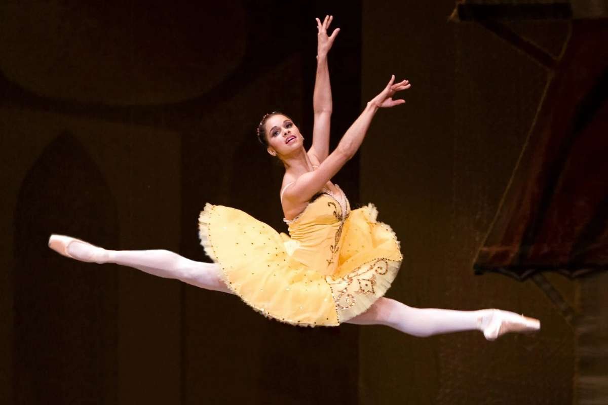 Top 35 Female Athletes Who Changed the World | The Enterprise World
