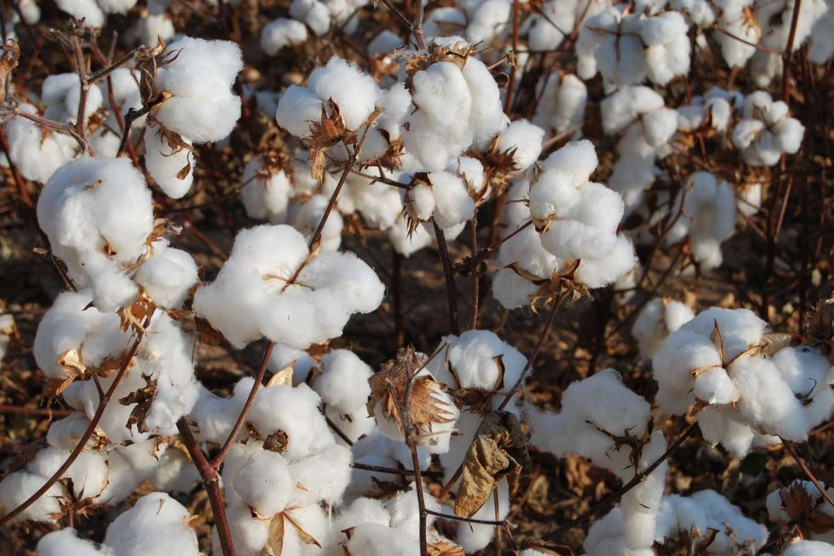 25 Sustainable Fashion Trends That Make You Look Good | The Enterprise World 