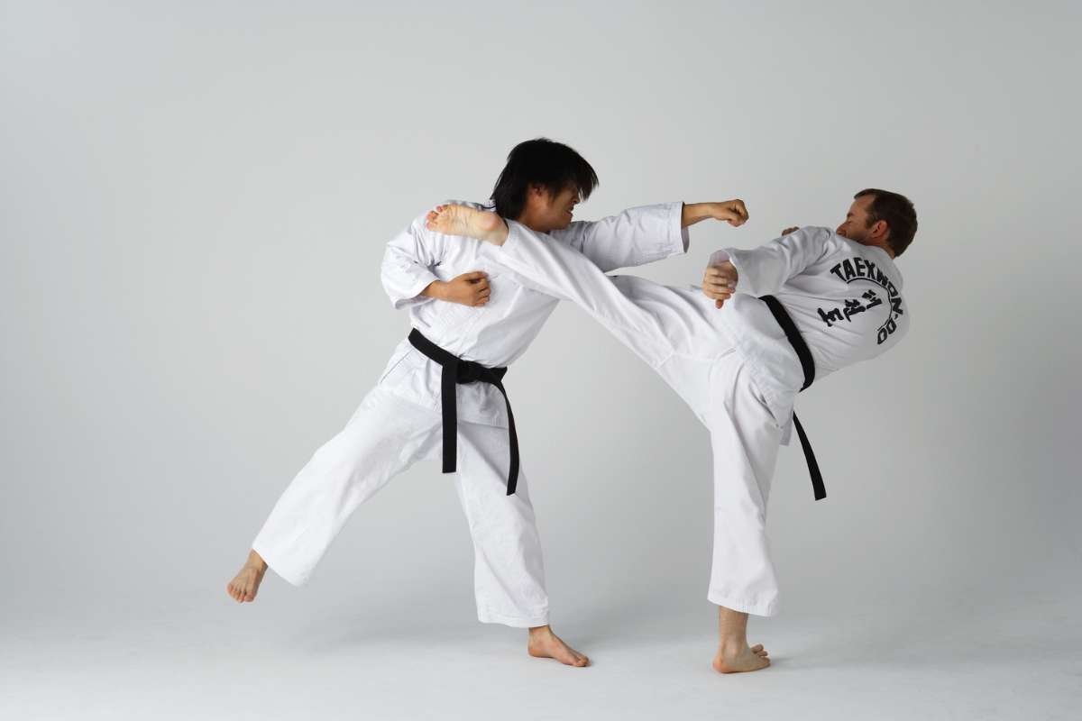 Top 10 Most Popular Martial Arts in the World | The Enterprise World 