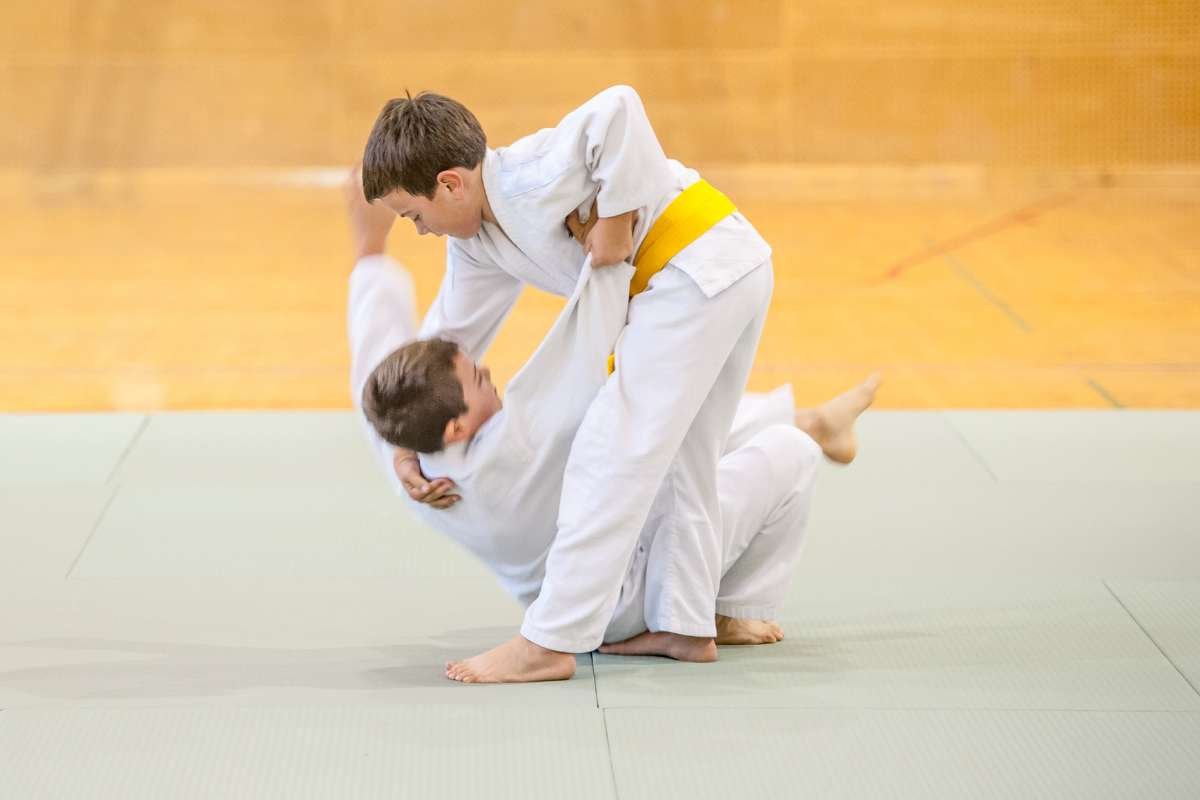 Top 10 Most Popular Martial Arts in the World | The Enterprise World 