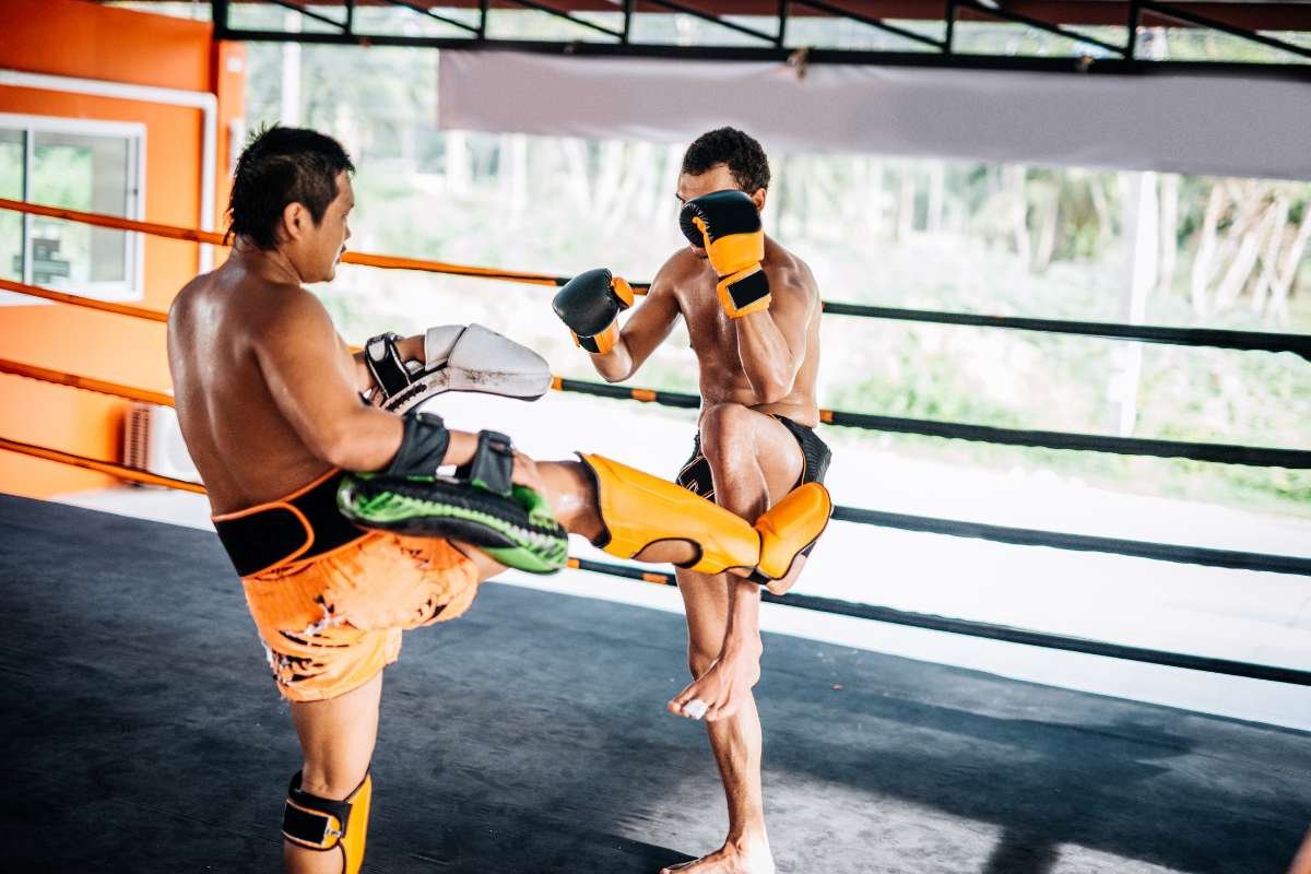 Top 10 Most Popular Martial Arts in the World | The Enterprise World 