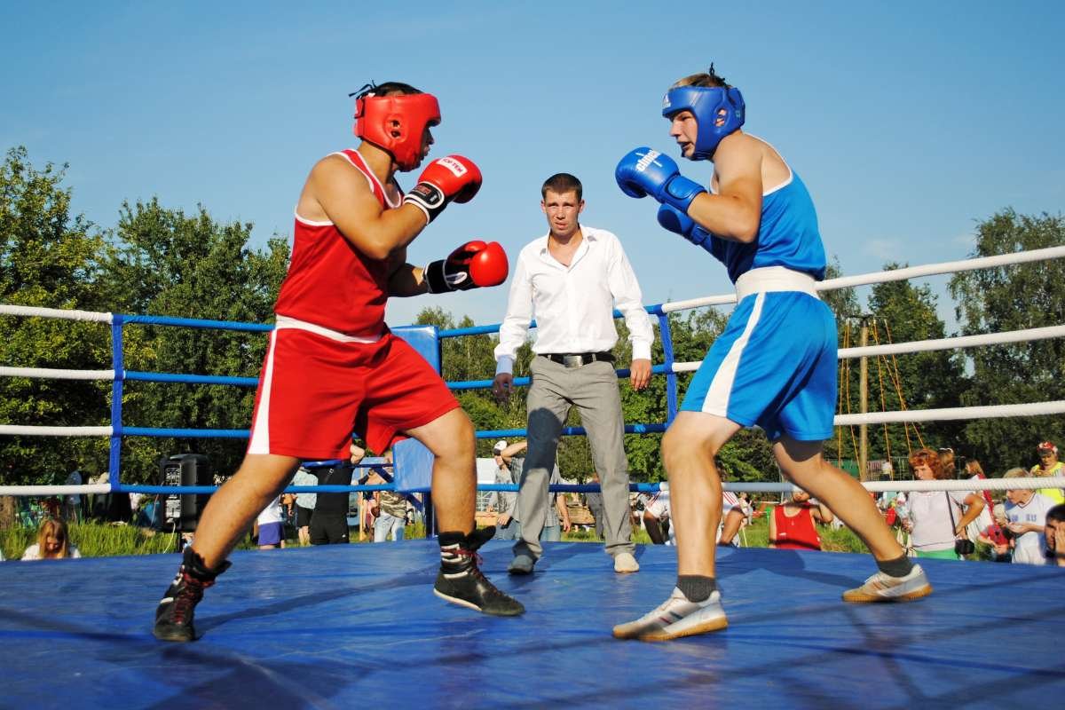 Top 10 Most Popular Martial Arts in the World | The Enterprise World 