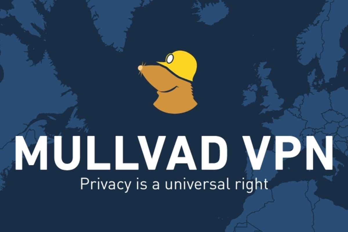 20 Best VPNs for Business You Can Trust in 2025 | The Enterprise World 