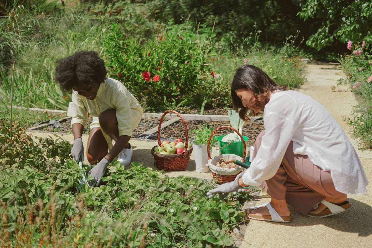 Smart Agricultural Design Boosts Rural Infrastructure | The Enterprise World