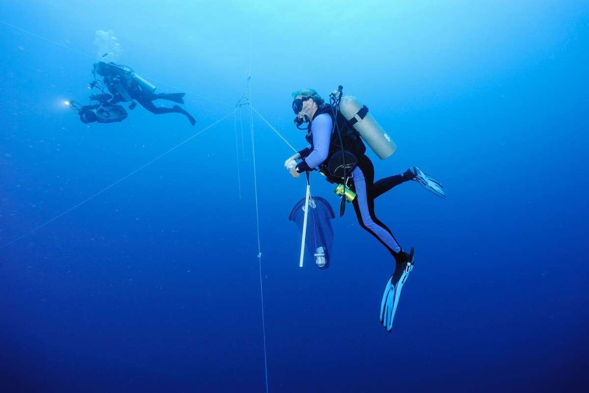 Gregory Stone-Chief Ocean Scientist | The Metals Company | The Enterprise World