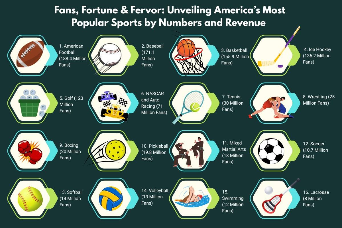16 Most Popular Sports in the USA by Numbers and Revenue | The Enterprise World 