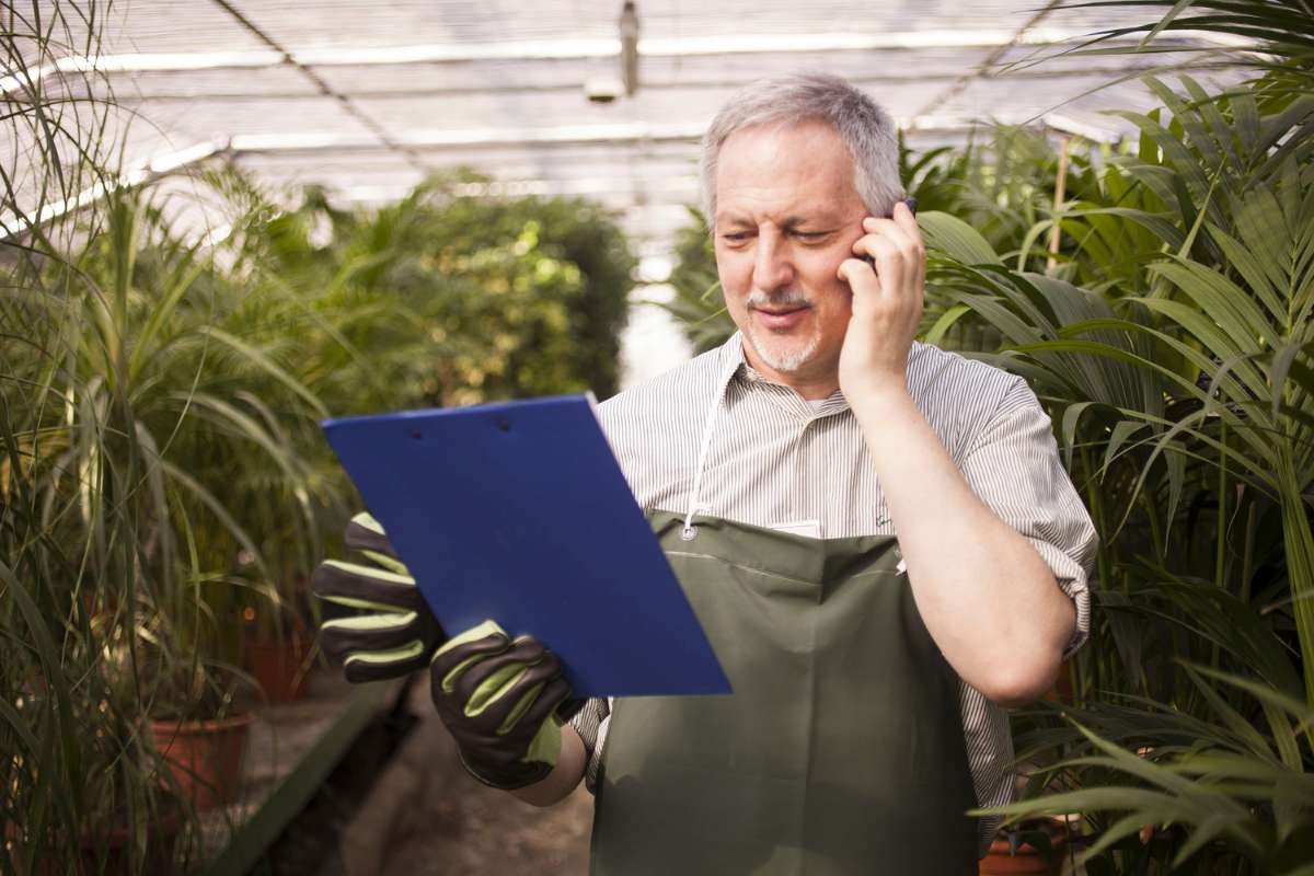 Professional Tree Trimming: Why Safety Gear, Licensing, and Training Matter? | The Enterprise World