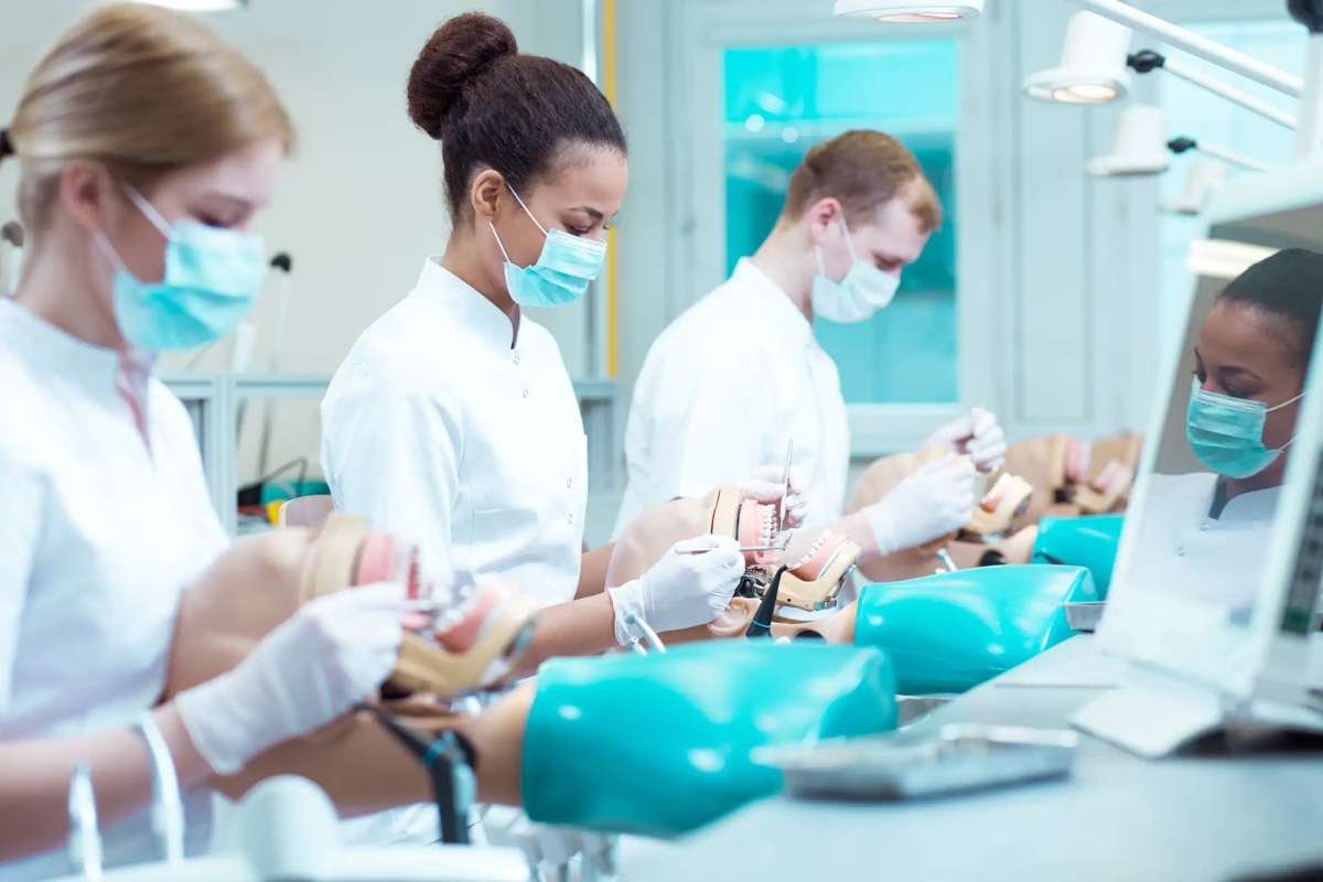 4 Essential Component to Understanding Implant Dentistry | The Enterprise World 