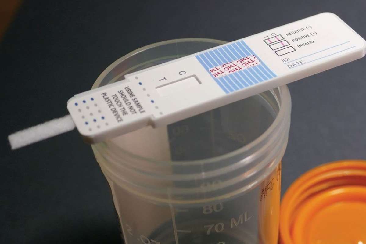Key Features of Synthetic Urine Products for Employment Screening | The Enterprise World