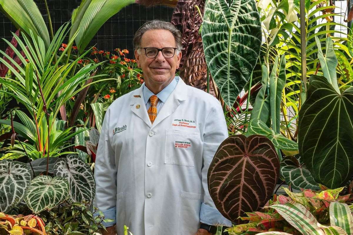 Exploring DocBlock Anthuriums: Where Botanical Beauty Meets Medicinal Potential? | The Enterprise World
