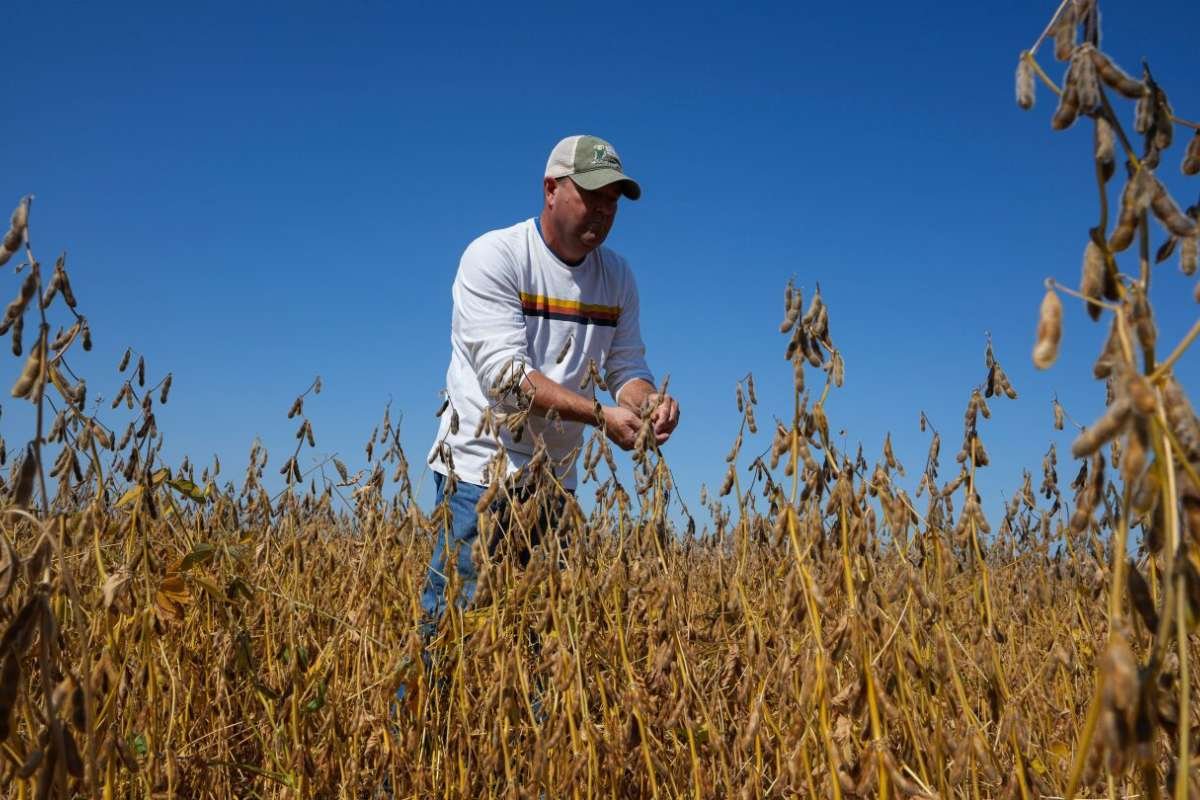 US Soybean Farmers Struggle Amid Trade Standoff