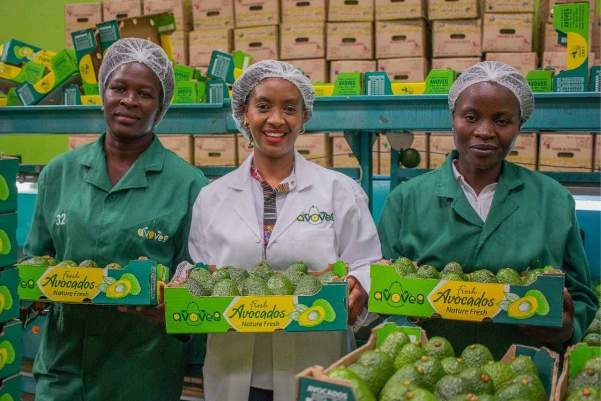 Avoveg Health Kenya Ltd: Mr. Nathan Loyd - Redefining Agribusiness Through Innovation | The Enterprise World