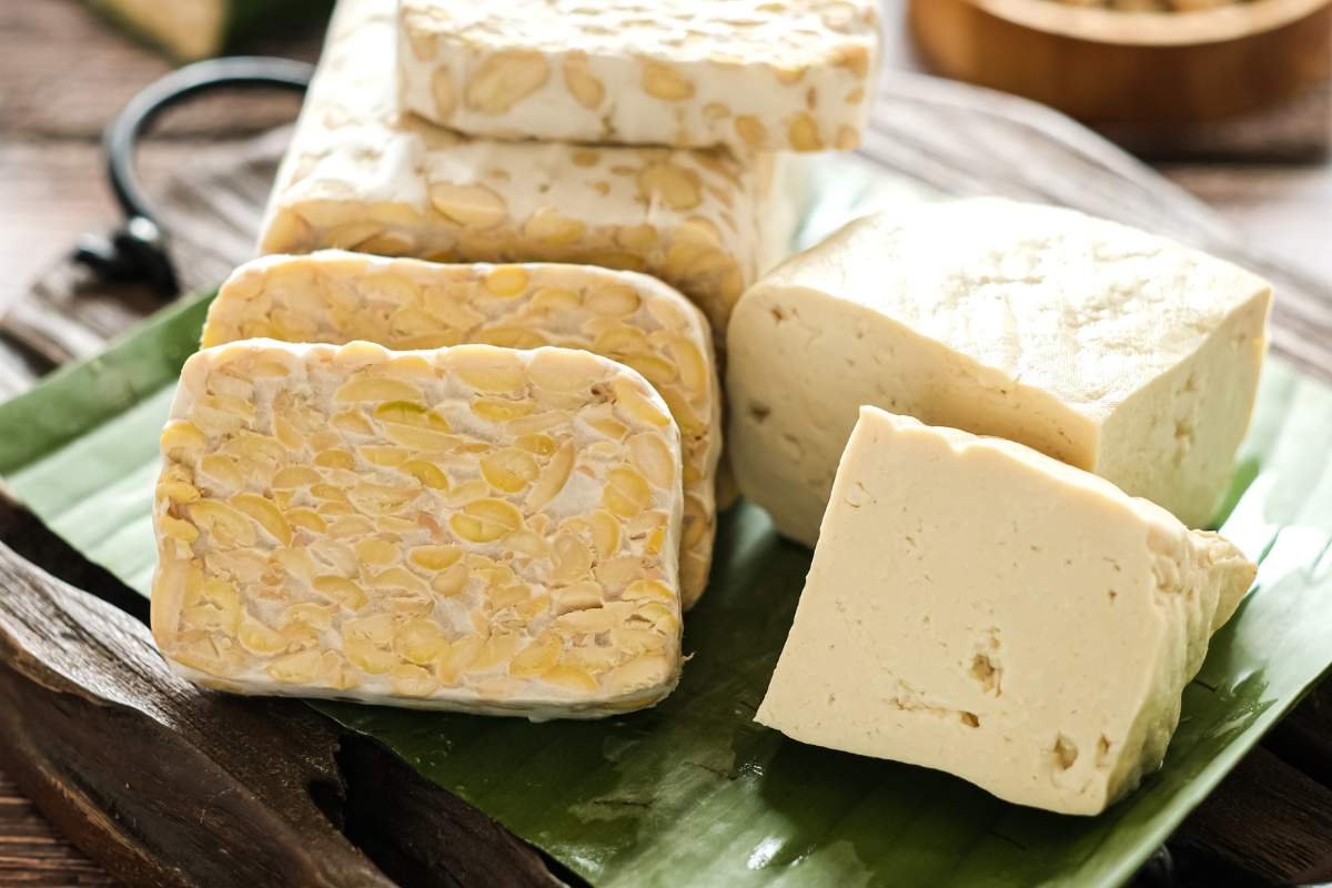 Plant Power: 20 Best Protein Sources for Vegans You Must Know | The Enterprise World