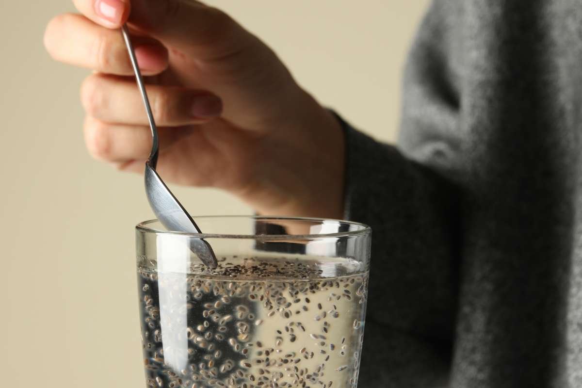Health Benefits of Chia Seeds Every Fitness Lover Should Know | The Enterprise World