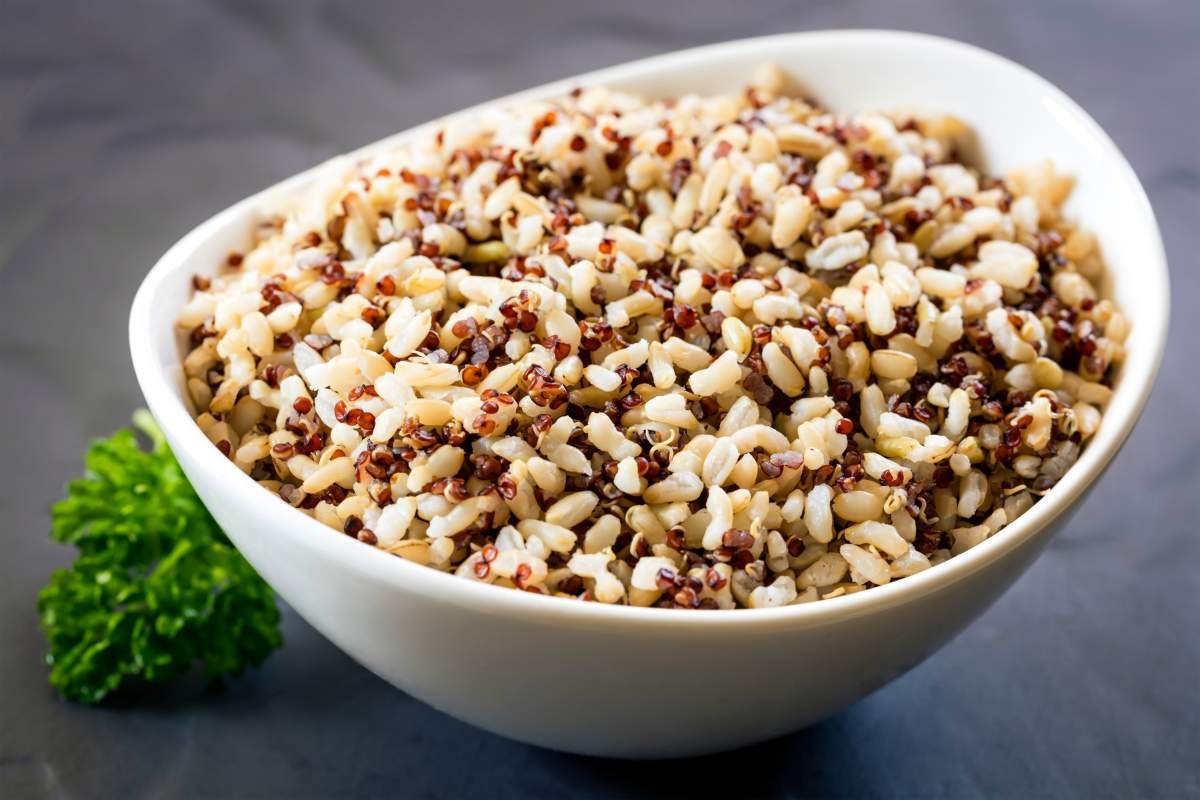 Plant Power: 20 Best Protein Sources for Vegans You Must Know | The Enterprise World