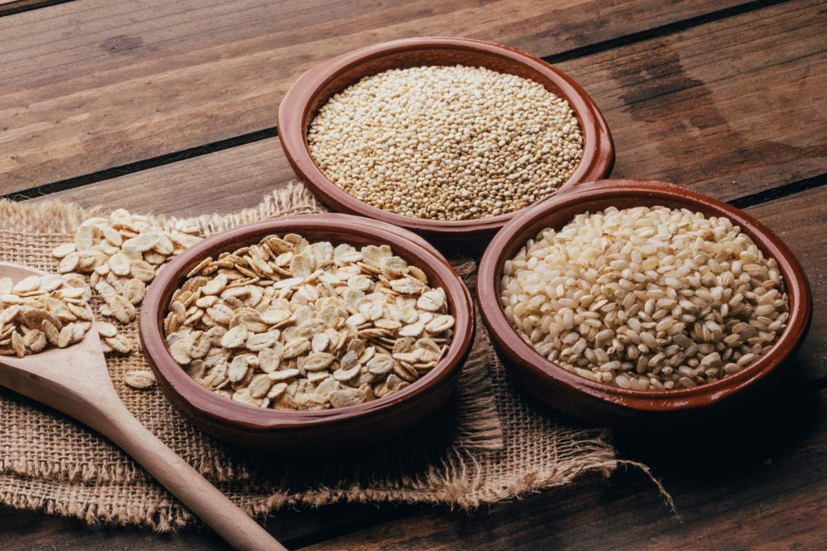 Plant Power: 20 Best Protein Sources for Vegans You Must Know | The Enterprise World