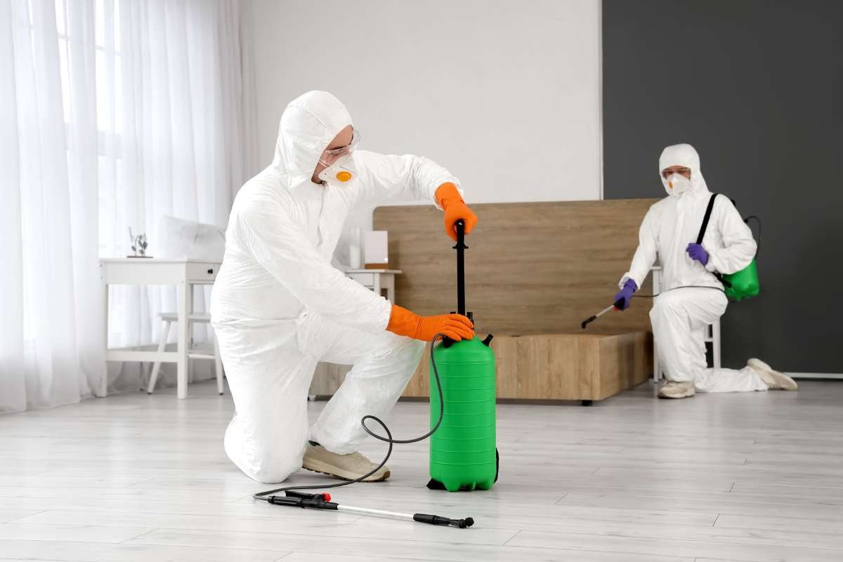 EcoClean Innovative Service Launches Fast, Green Cleaning in Dubai | The Enterprise World