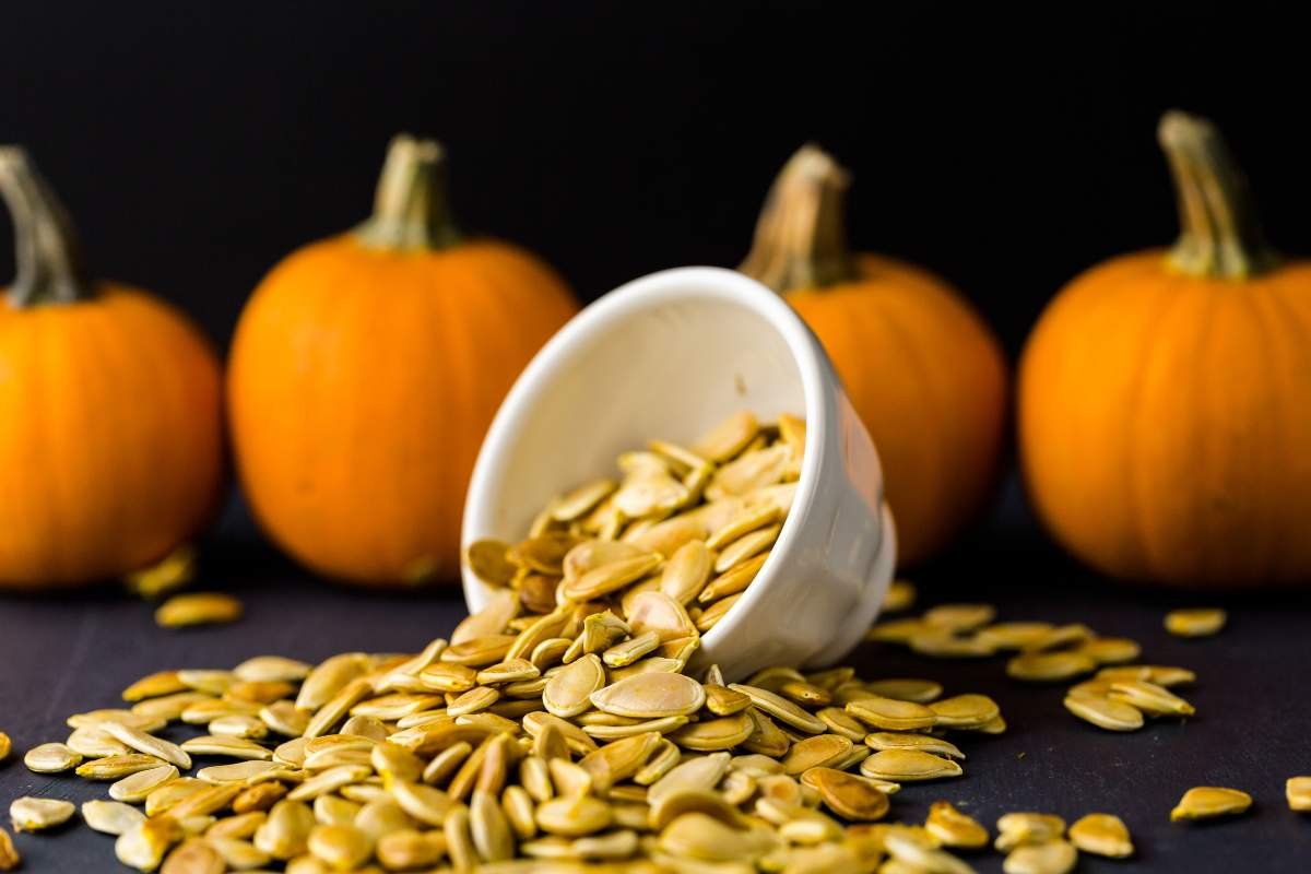 Plant Power: 20 Best Protein Sources for Vegans You Must Know | The Enterprise World