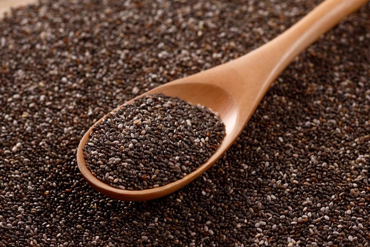 Plant Power: 20 Best Protein Sources for Vegans You Must Know | The Enterprise World
