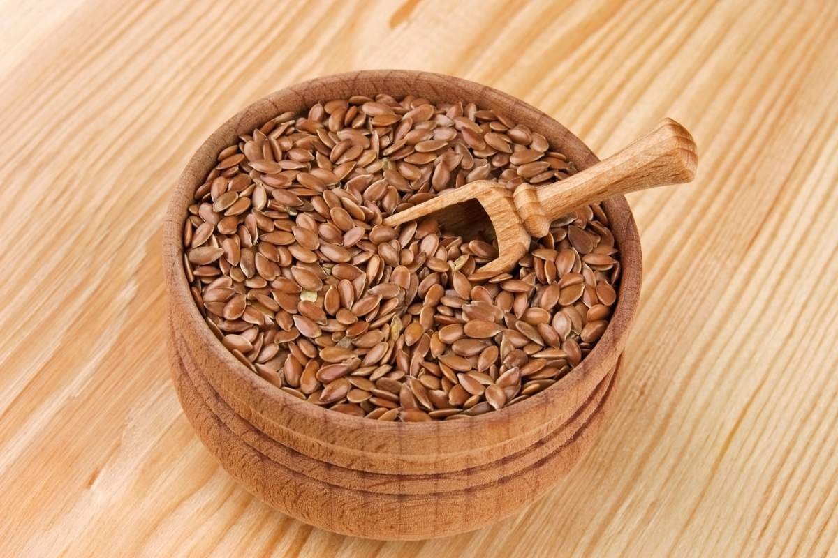Plant Power: 20 Best Protein Sources for Vegans You Must Know | The Enterprise World