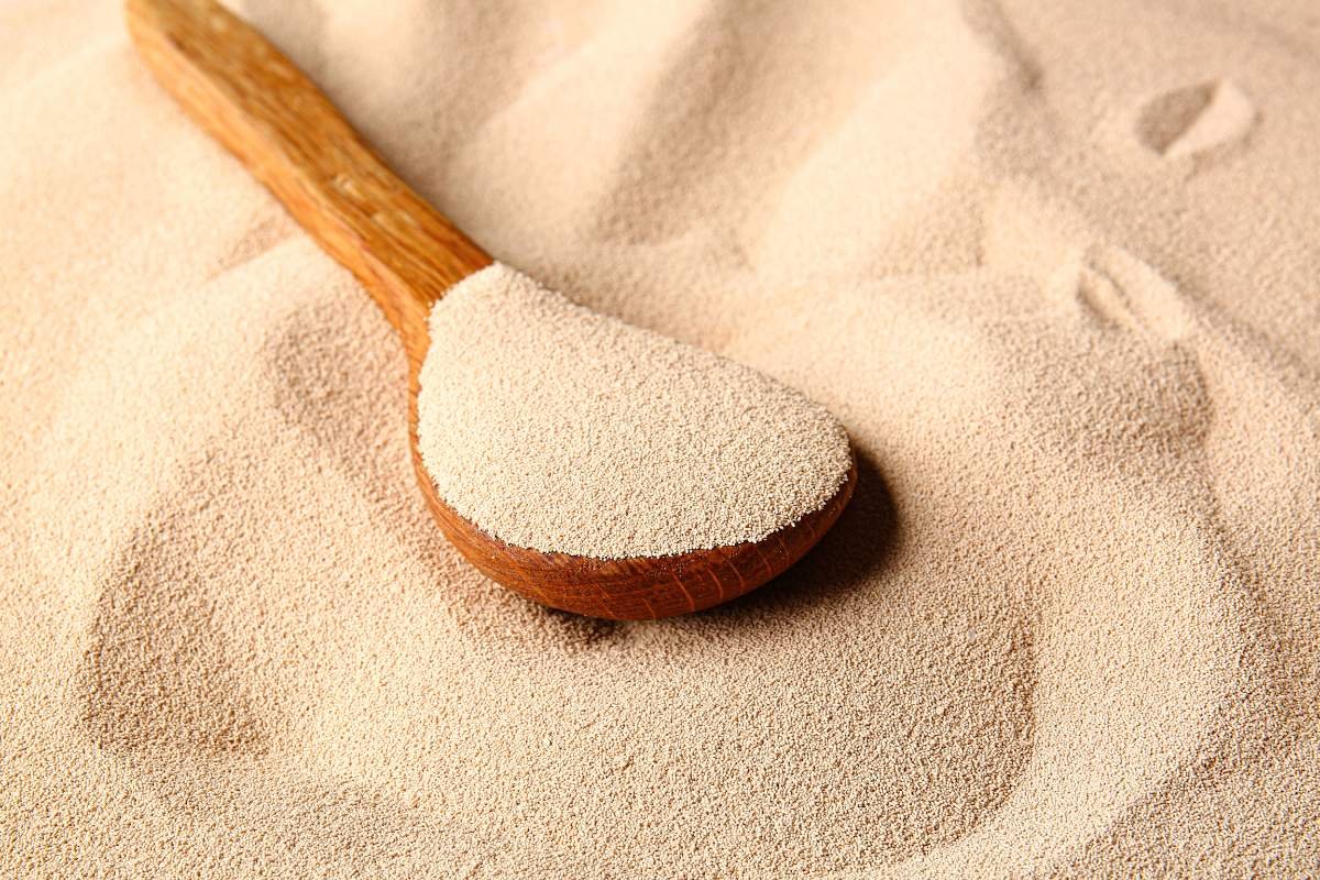 Plant Power: 20 Best Protein Sources for Vegans You Must Know | The Enterprise World