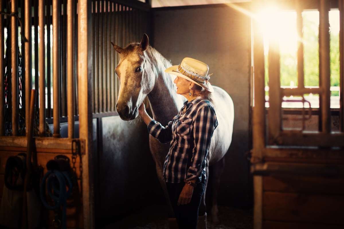 Is Horse Ownership Investment a Good Idea? The True Financial Cost | The Enterprise World