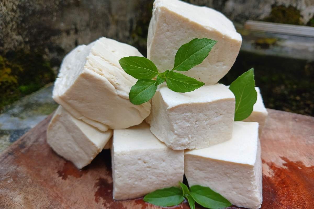 Plant Power: 20 Best Protein Sources for Vegans You Must Know | The Enterprise World