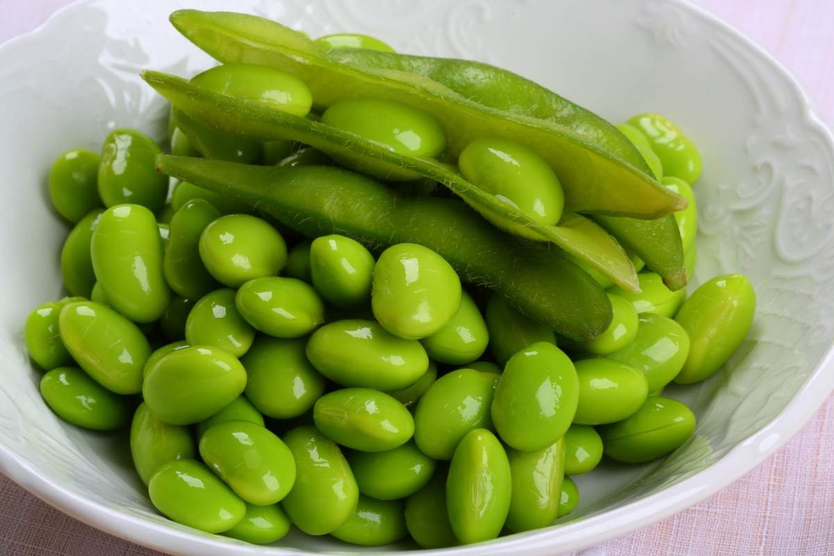 Plant Power: 20 Best Protein Sources for Vegans You Must Know | The Enterprise World