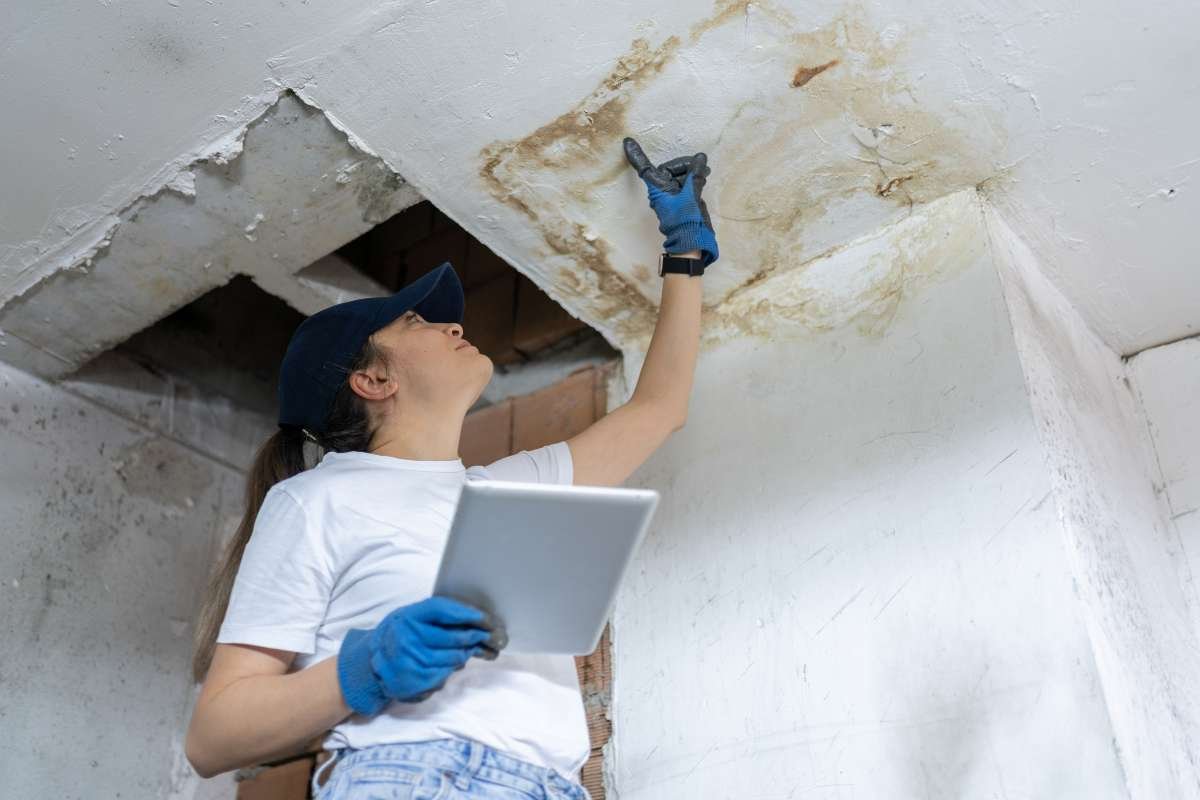 How Eavestrough Repair in Calgary Prevents Costly Water Damage? | The Enterprise World